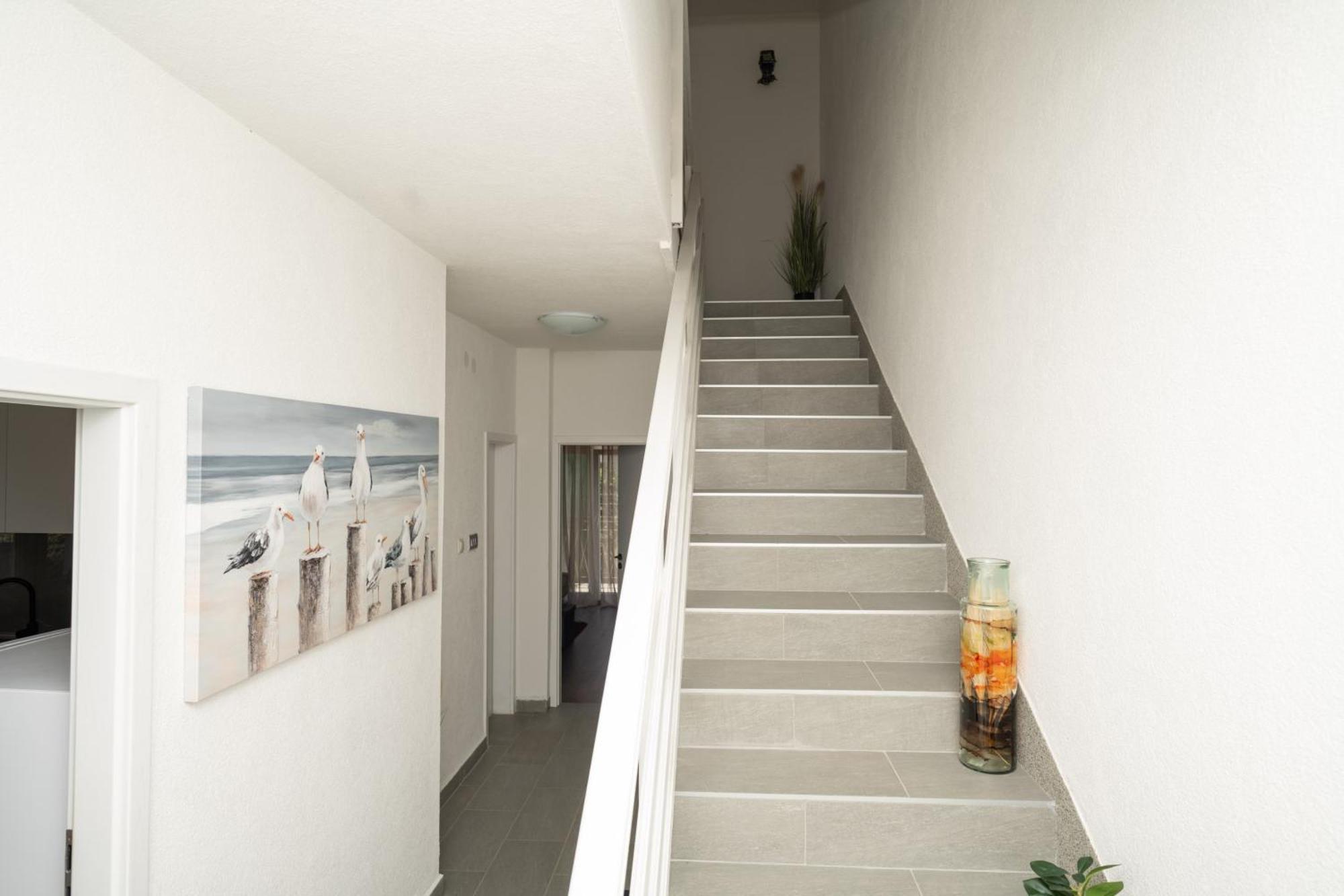 Anica Holiday home *