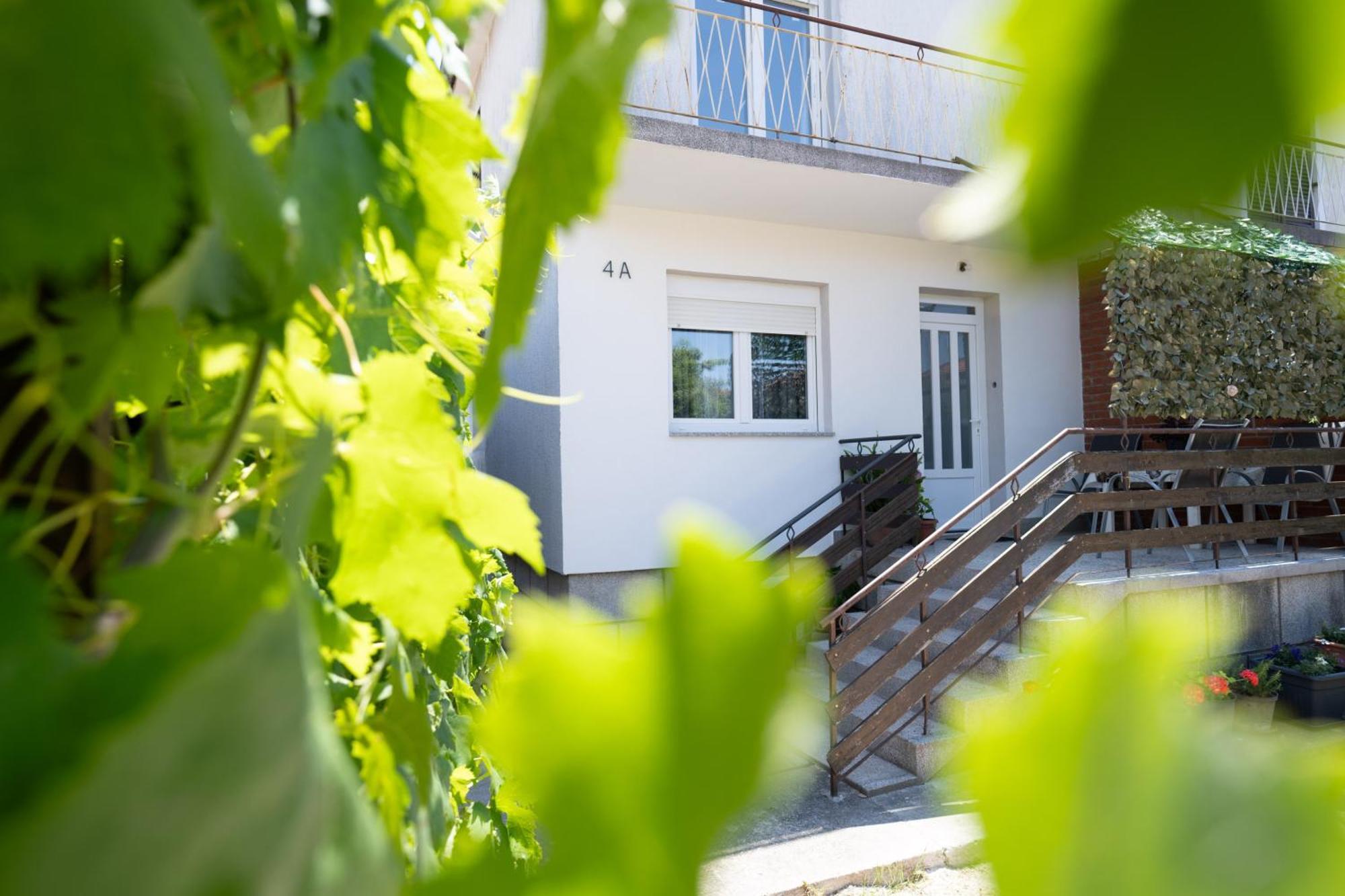 Holiday home Anica Zadar